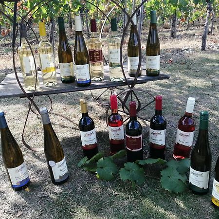 Ferienweingut Winnebeck Köwerich المظهر الخارجي الصورة
