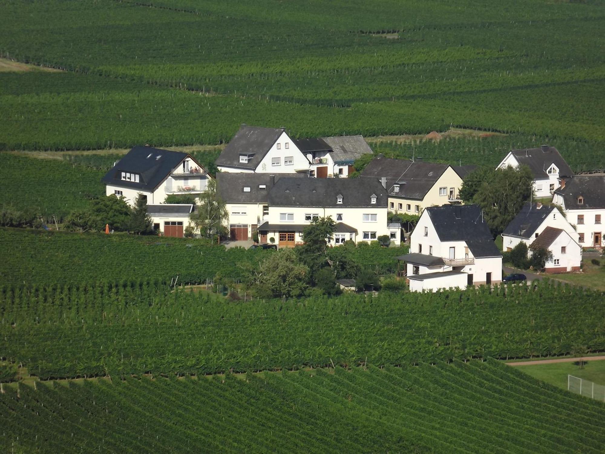 Ferienweingut Winnebeck Köwerich الغرفة الصورة
