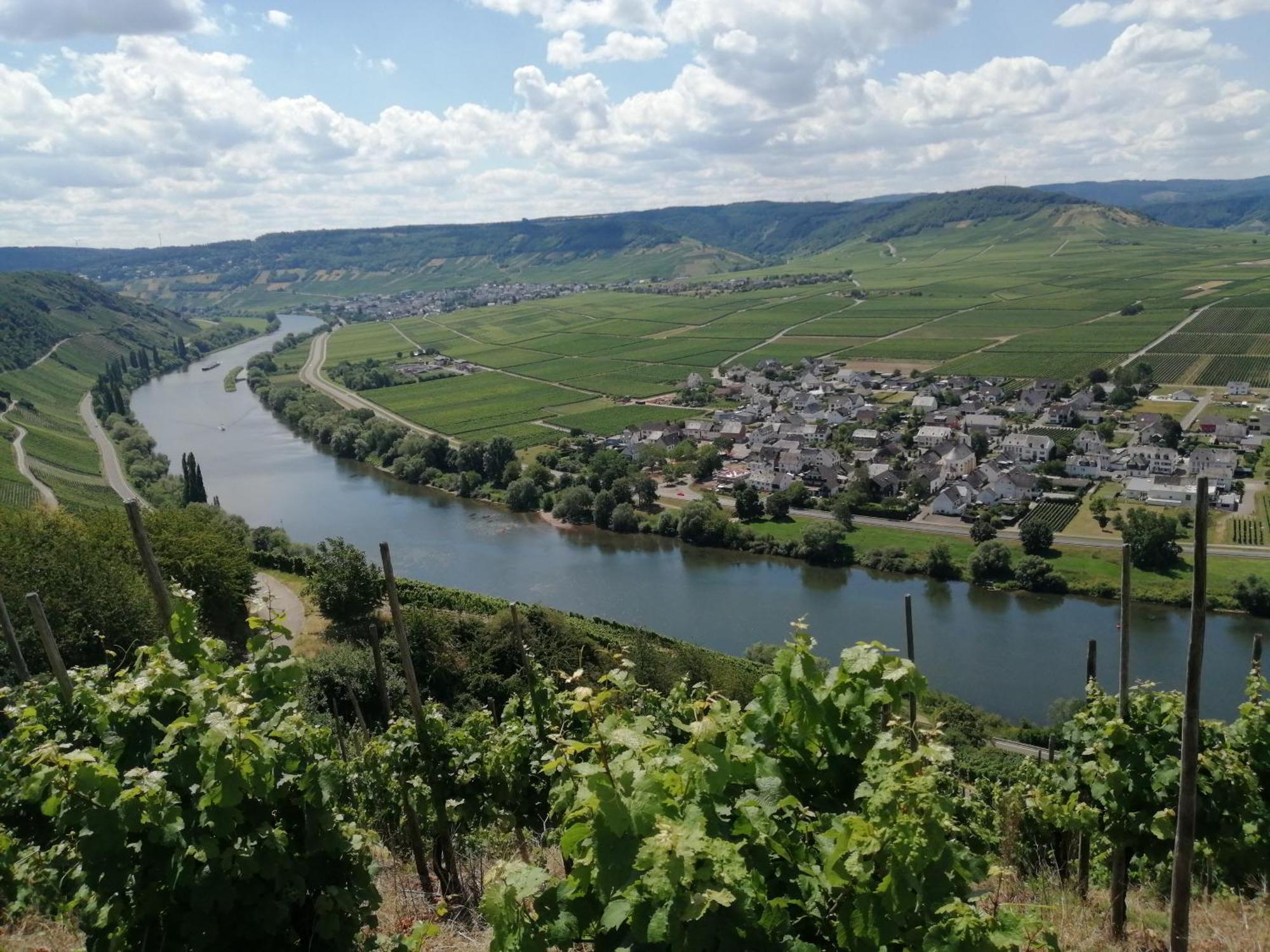 Ferienweingut Winnebeck Köwerich المظهر الخارجي الصورة