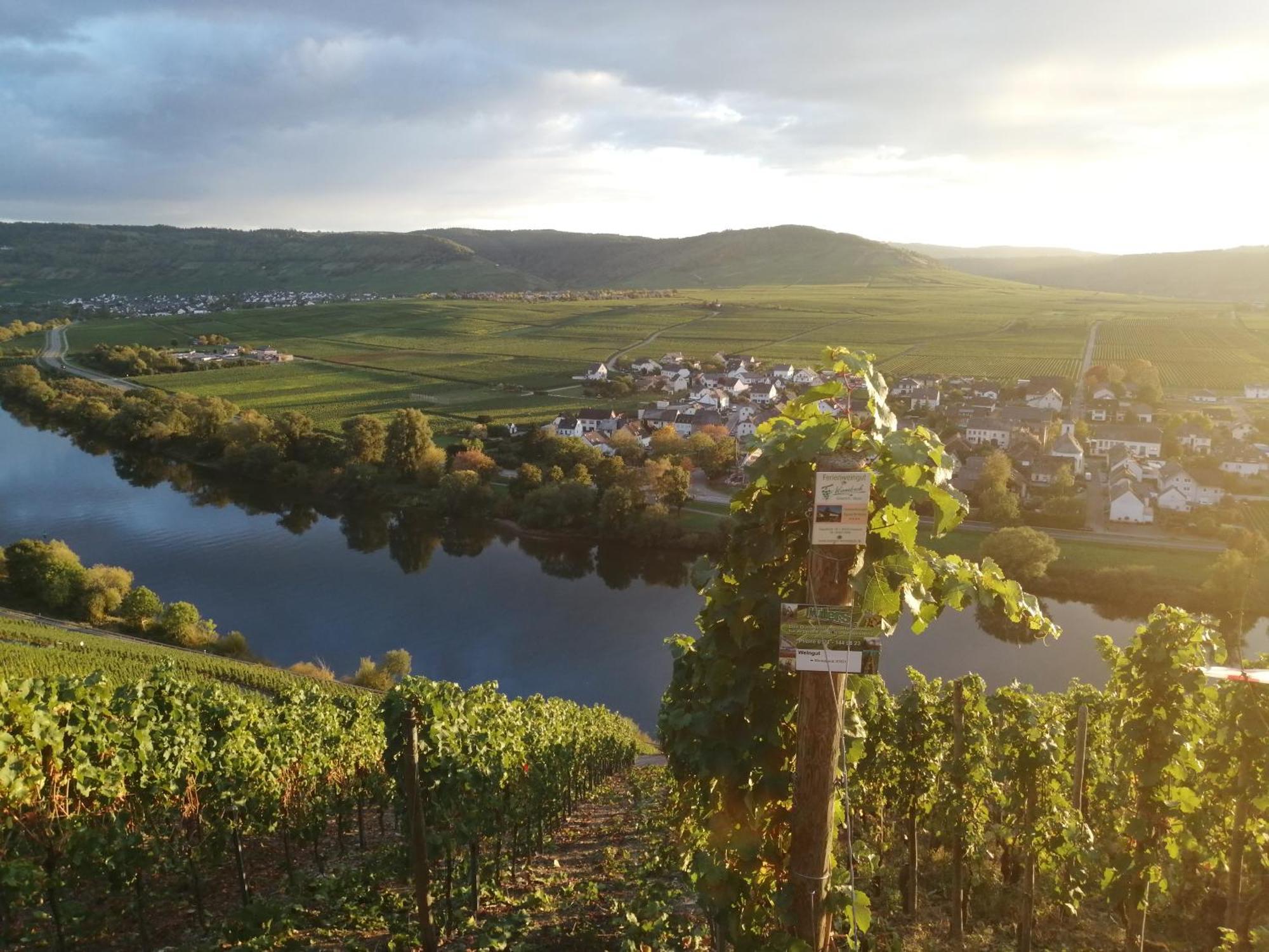 Ferienweingut Winnebeck Köwerich المظهر الخارجي الصورة
